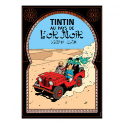 Poster-Tintin au pays de...