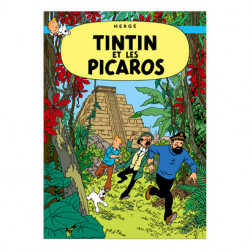 Poster-Tintin et les Picaros