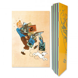 Poster-Tintin Albums