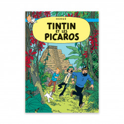Carte Postale-Tintin et les...