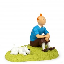 Tintin sitting on the grass