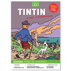 Tintin, c'est l'Aventure -...