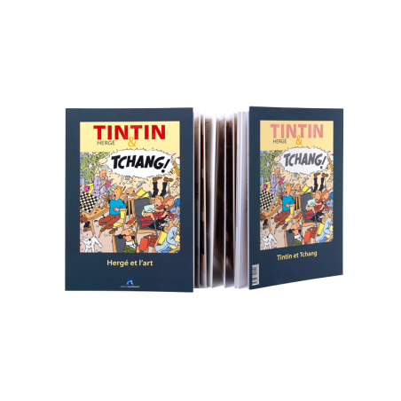 tintin-c-est-l-aventure-n12.jpg