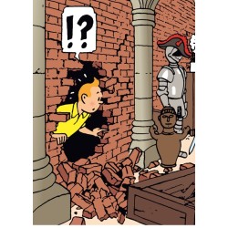 Chemise plastique - Tintin...