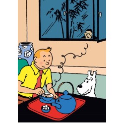 Plastic folder - Tintin and...