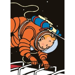 Tintin Plastic folder