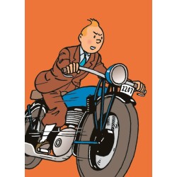 Chemise plastique Tintin...