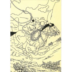 Carte postale - Tintin cheval