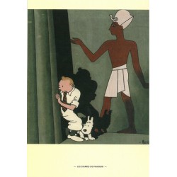 Postcard - Cigars cover