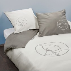 Duvet cover and 2...